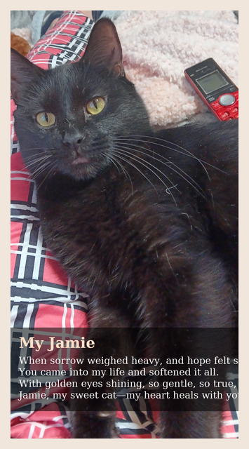 jamie-poem-elegant