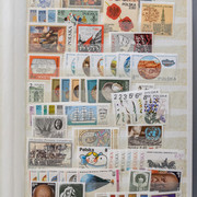 IMG-9194
