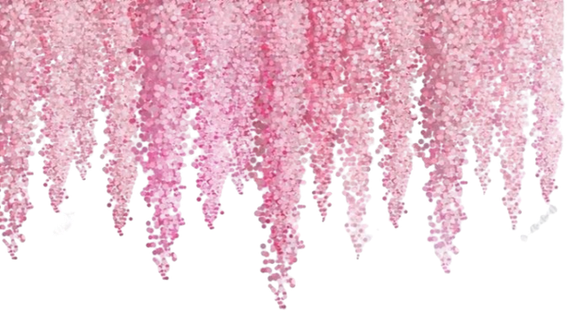 1000068689 removebg preview