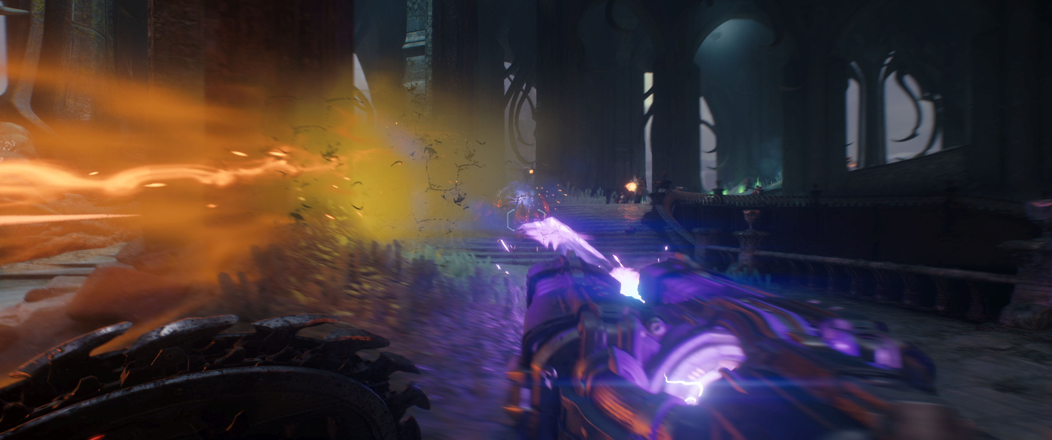 D1.jpg