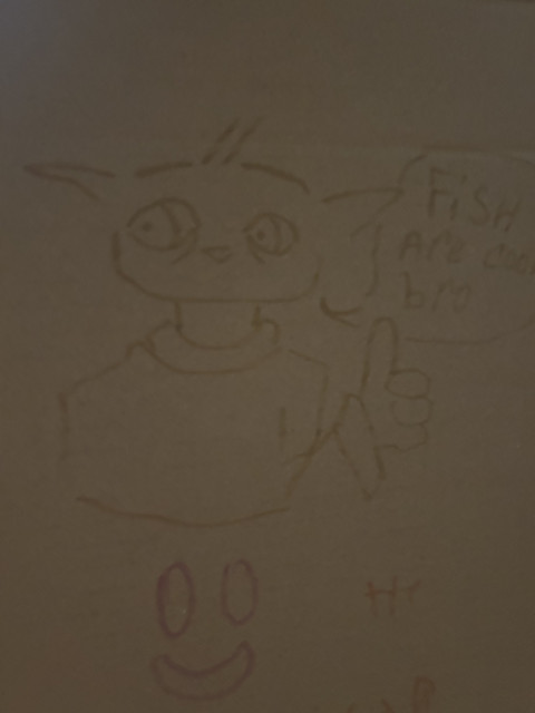 IMG 3929