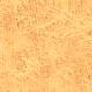 orange10