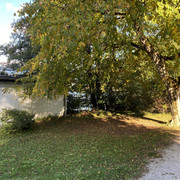 IMG-3009