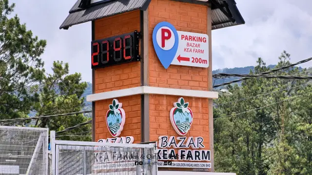 Kea Market21.webp