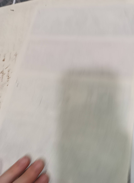 back no print