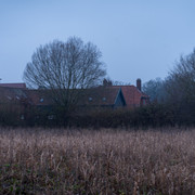 DSF5232