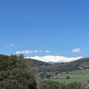 IMG 9929