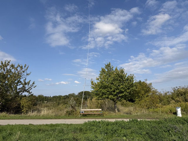 IMG-0811.jpg