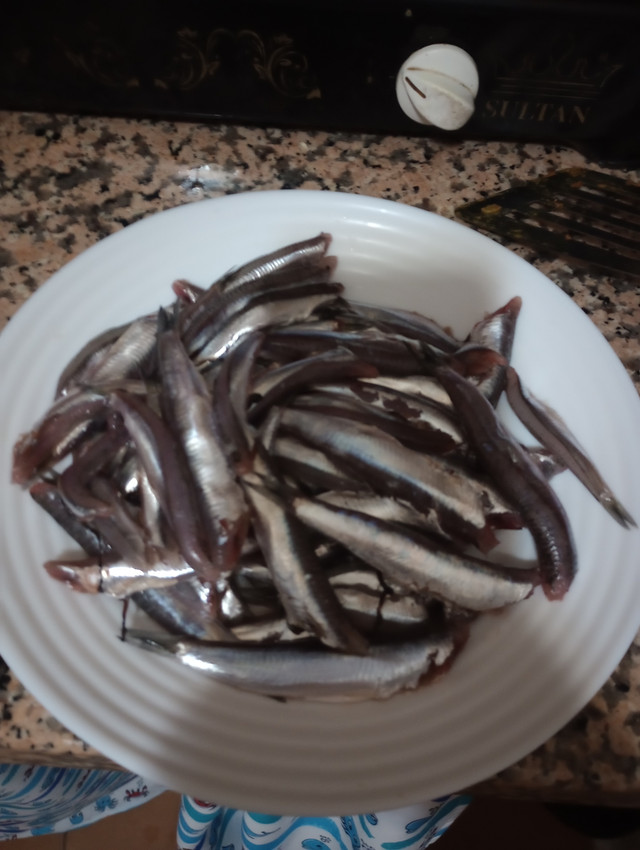 IMG-20251130-204030773