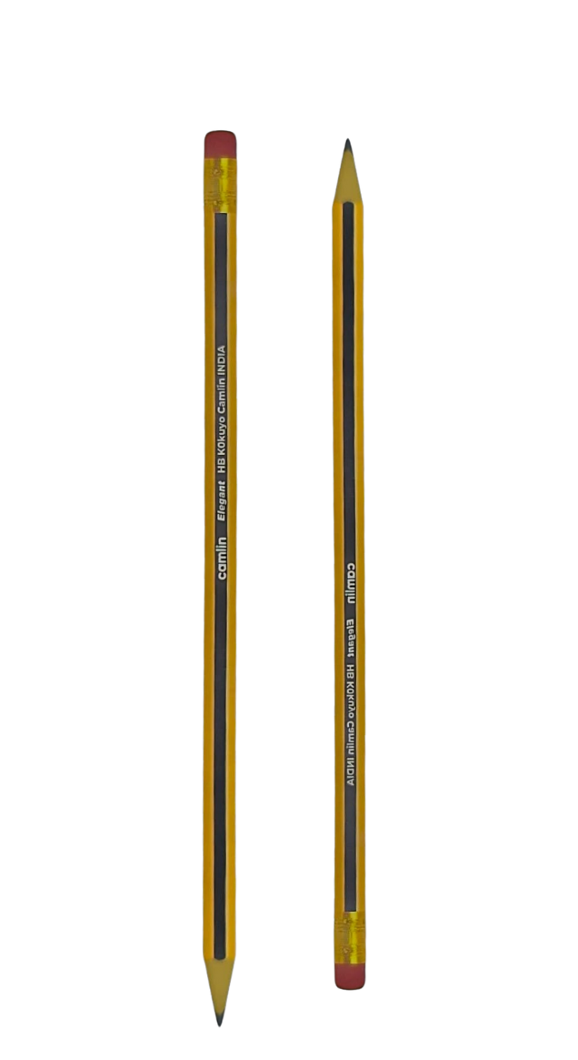 8901425113738 3.png