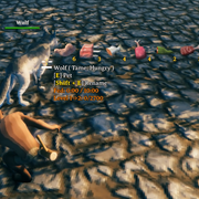 wolffood
