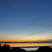 IMG-2045