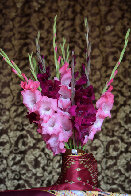 DSC 0315.jpg