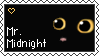 Mr-Midnight