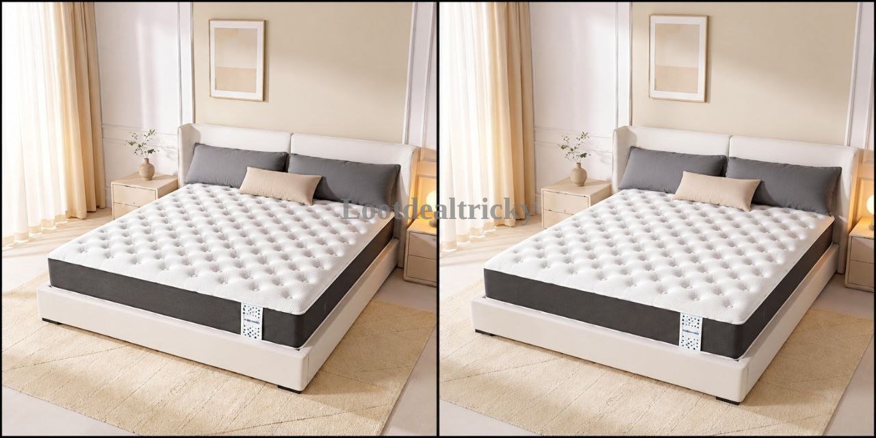 Upto 62 Off – Just 62% OFF | Lowest Price Deal