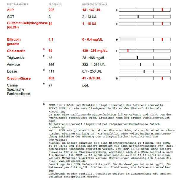 Bild-5