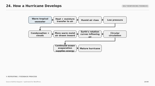 24 how a hurricane develops.png
