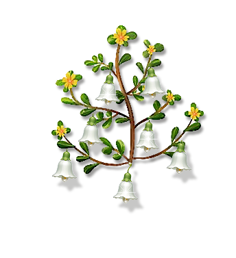 (((((((((((((.png