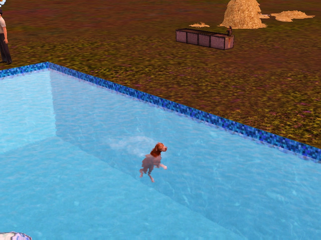 Screenshot-892