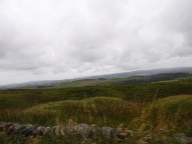 DSCF9119.jpg