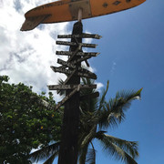 IMG-3928