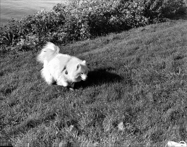 Scan-120910-0011.jpg