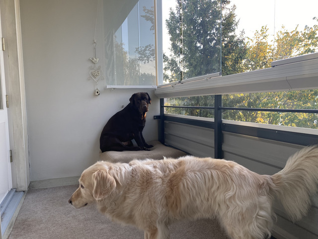 62-CC3226-52-C2-435-E-A041-3-E1906154737