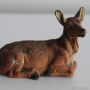 IMG-6635