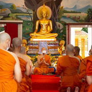 IMG-7235
