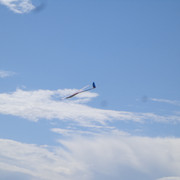 DSC00707