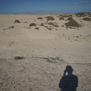 DSC01208