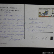IMG-3784