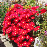 IMG-7713