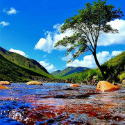 Scotland