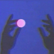 IMG-6616