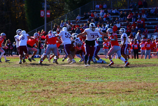 IMG-0485.jpg