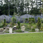 DSC7014