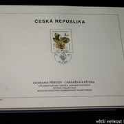 IMG-2136