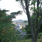P1350249