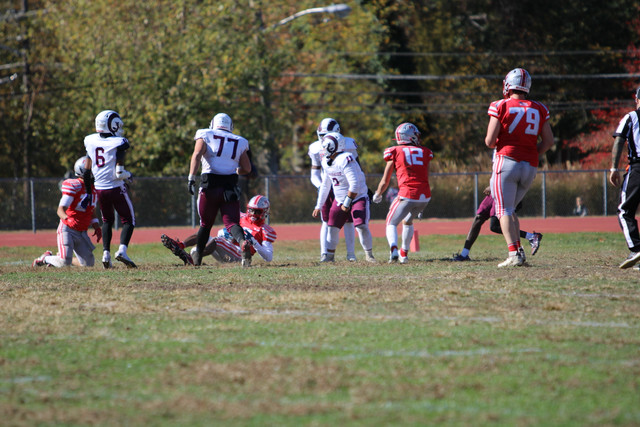 IMG-1466.jpg
