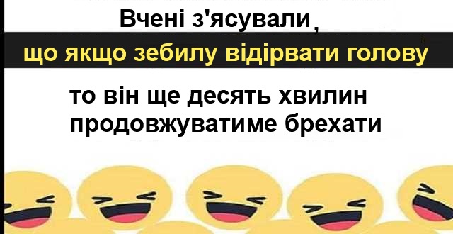 Україна підтвердила участь у тристоронніх газових переговорах 19 вересня, - Оржель - Цензор.НЕТ 3880