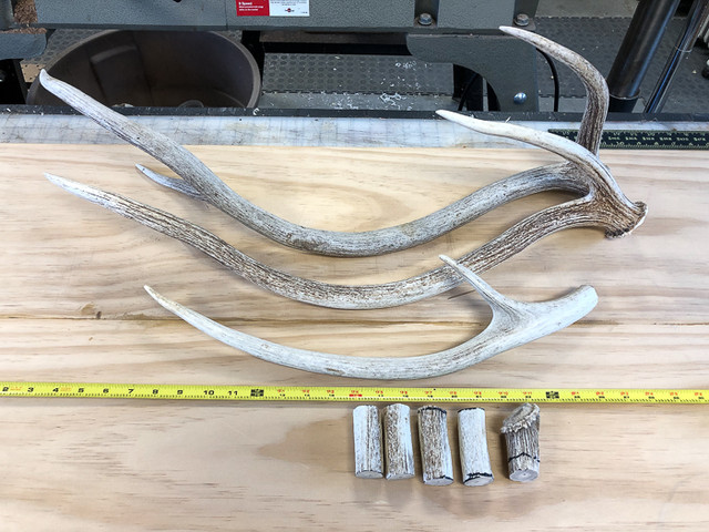 Axis-antler-3