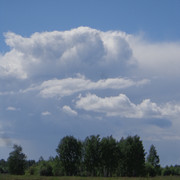 DSC00647
