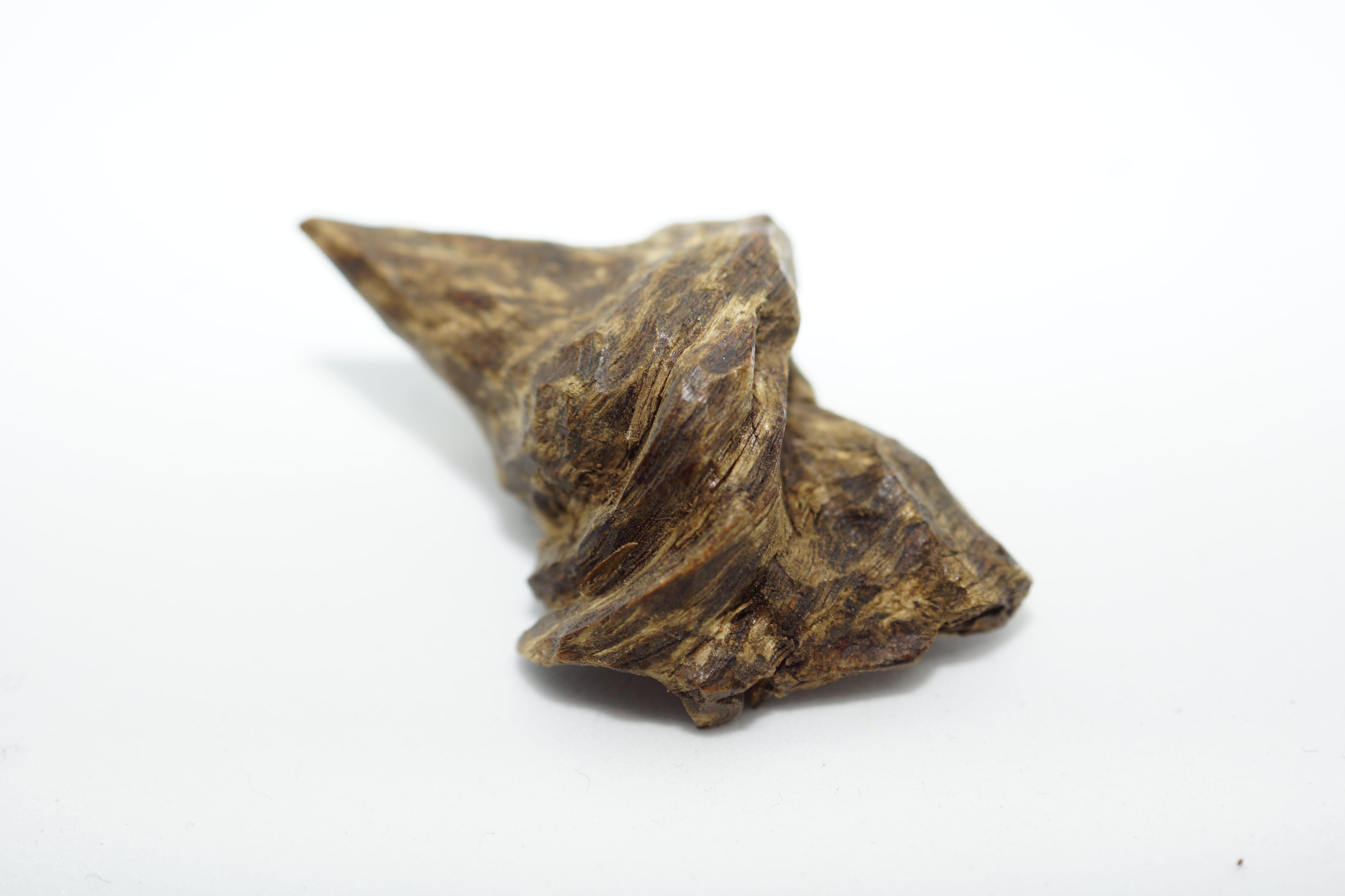 [Ouddict.com] Oud Photos