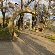 IMG-6241