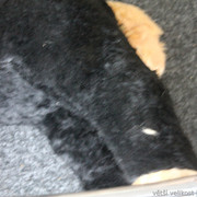IMG-8853