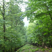 P1340664