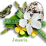 Jewels-4320-A