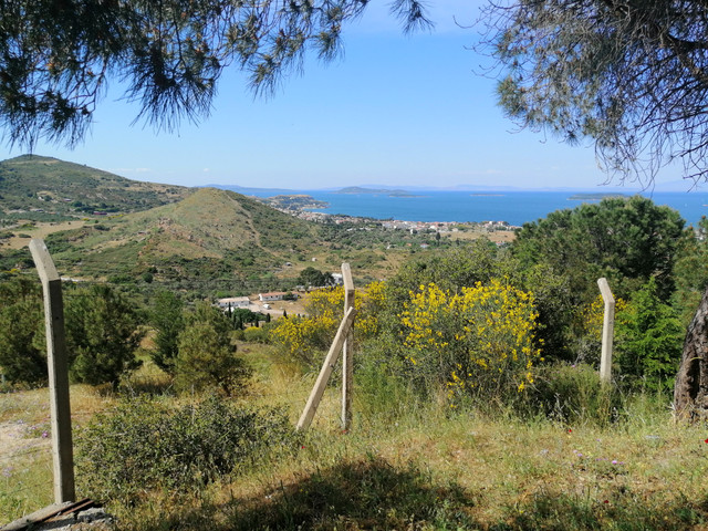 IMG-20220512-155050