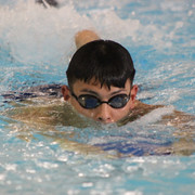 IMG-0117